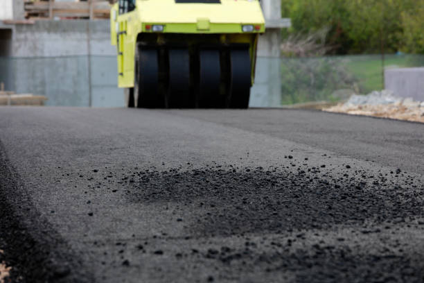 Best Professional Driveway Pavers  in St Augustine, FL